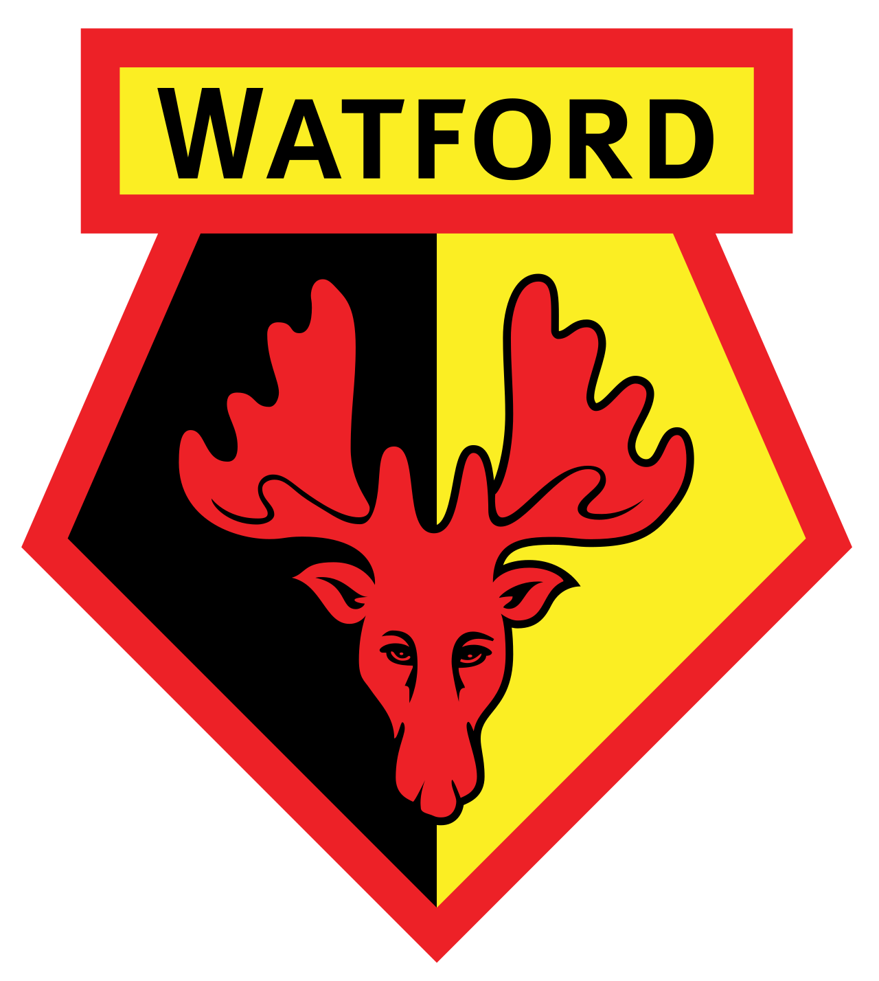 Team Logo
